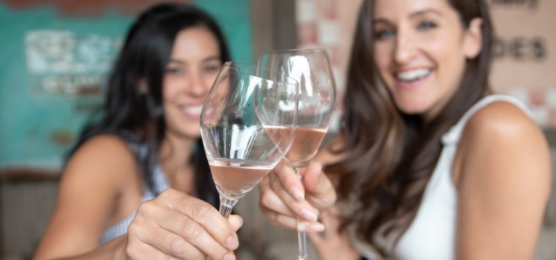 two-female-friends-toasting-with-glasses-of-wine_t20_VLra31 (1)